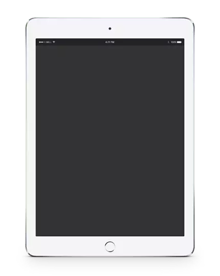 White iPad image
